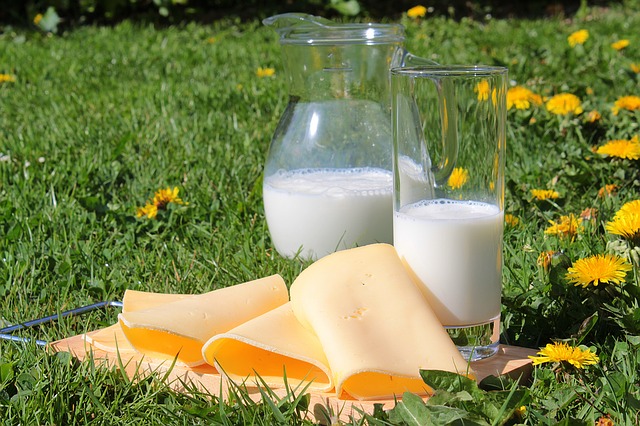 La leche y sus derivados son ricos en calcio que es bueno para las rodillas